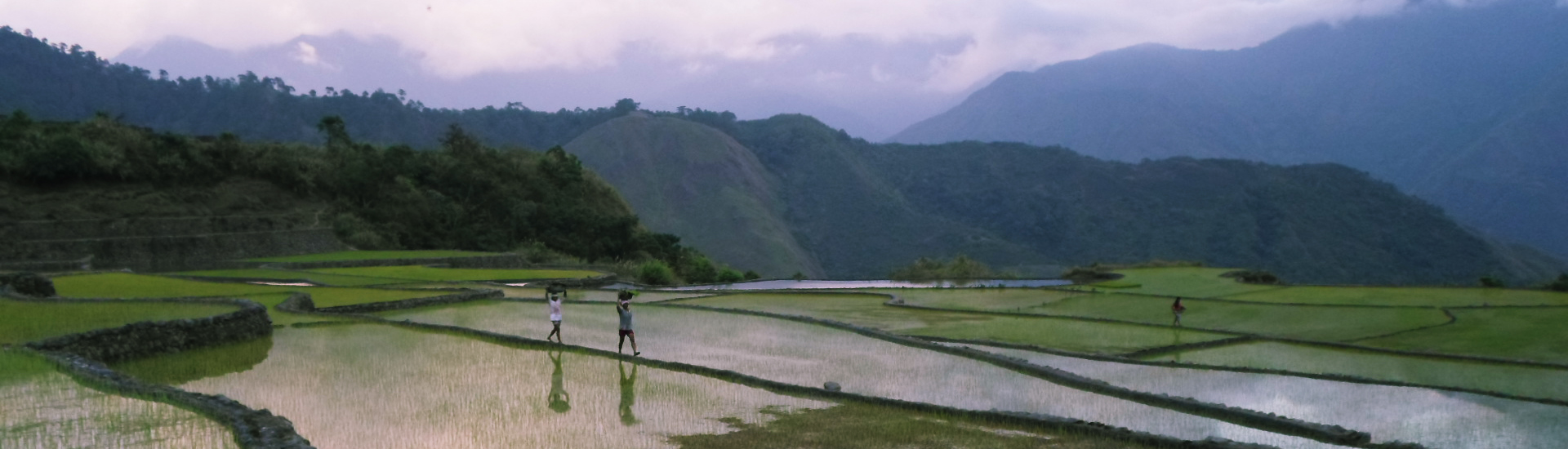 Tatuaje tribal Kalinga en Filipinas
